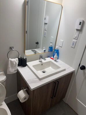 Haartrockner, Handtücher, Seife, Toilettenpapier