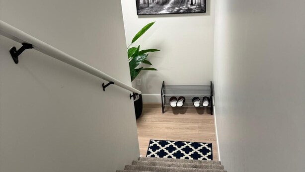 Eine Treppe mit Geländer, ein an der Wand befestigter Schuhhalter, ein Blumentopf und ein gerahmtes Bild über dem Schuhhalter.