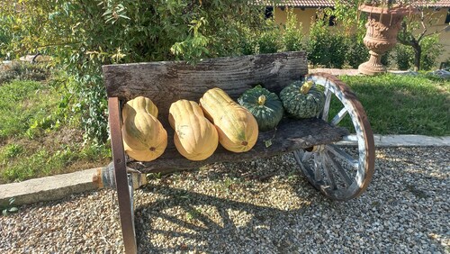 Charming apartment with swimming pool in period villa in Monferrato