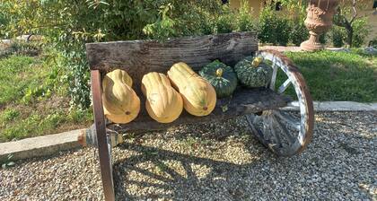 Charming apartment with swimming pool in period villa in Monferrato