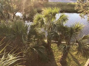 Property grounds - Scenic beauty on the bay (Crawfordville)