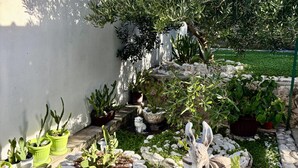 A garden with various potted plants, a stone pathway, and a white wall. - 1 bedroom amazing apartment in Duce (Duce)