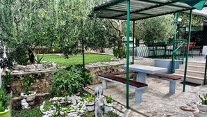 An outdoor patio area with a covered seating area, stone flooring, and various potted plants. - 1 bedroom amazing apartment in Duce (Duce)
