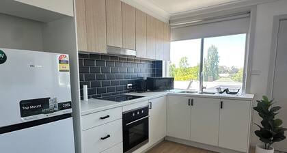 ✨Delight in Oberon✨