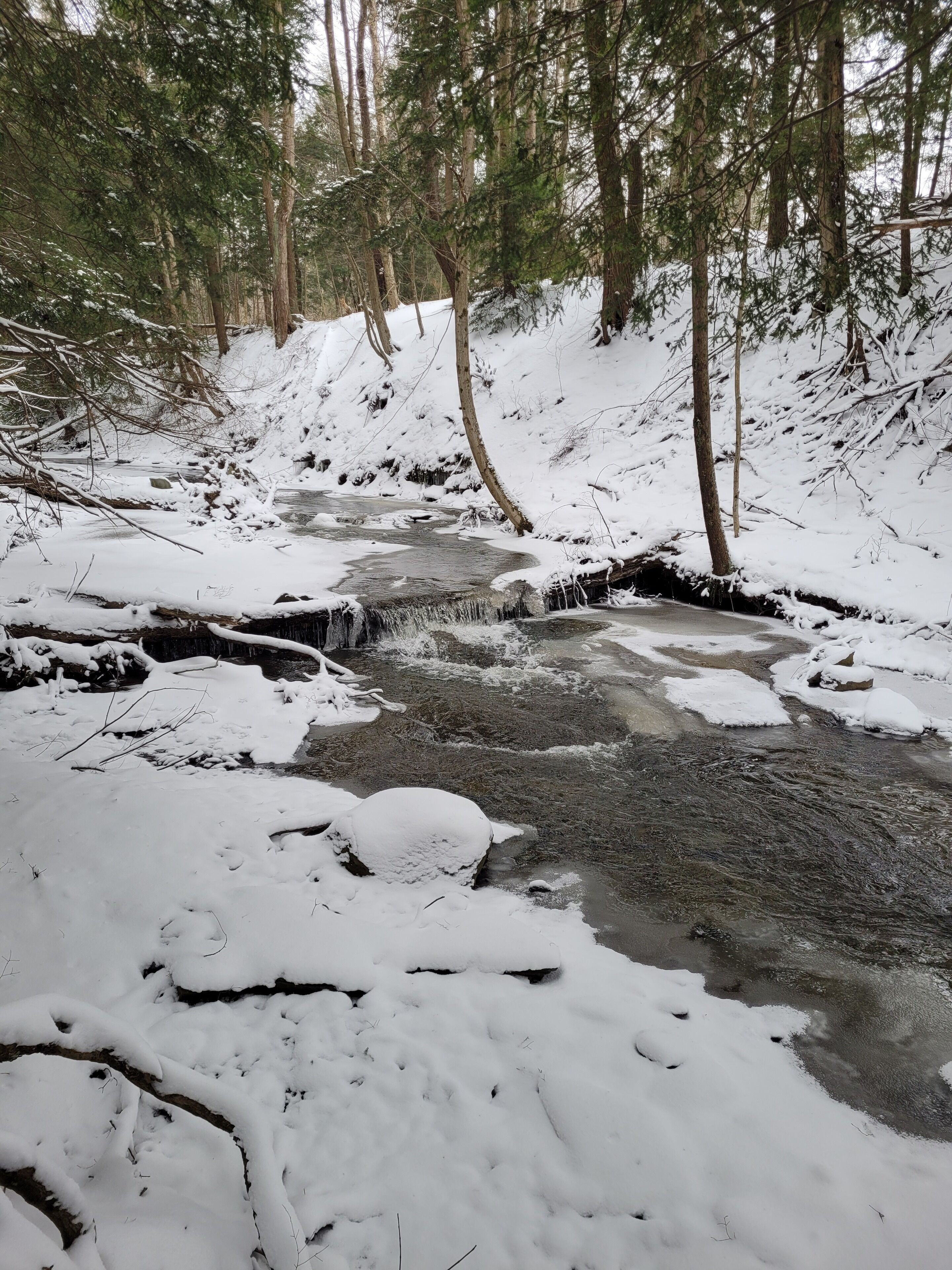 Ein mit Schnee bedeckter Wald mit einem kleinen Bach.