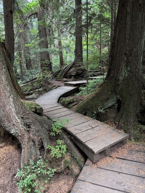 Overnattingsstedets uteområder
