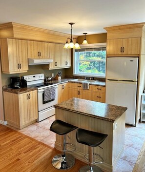 Microondas y placa de cocina