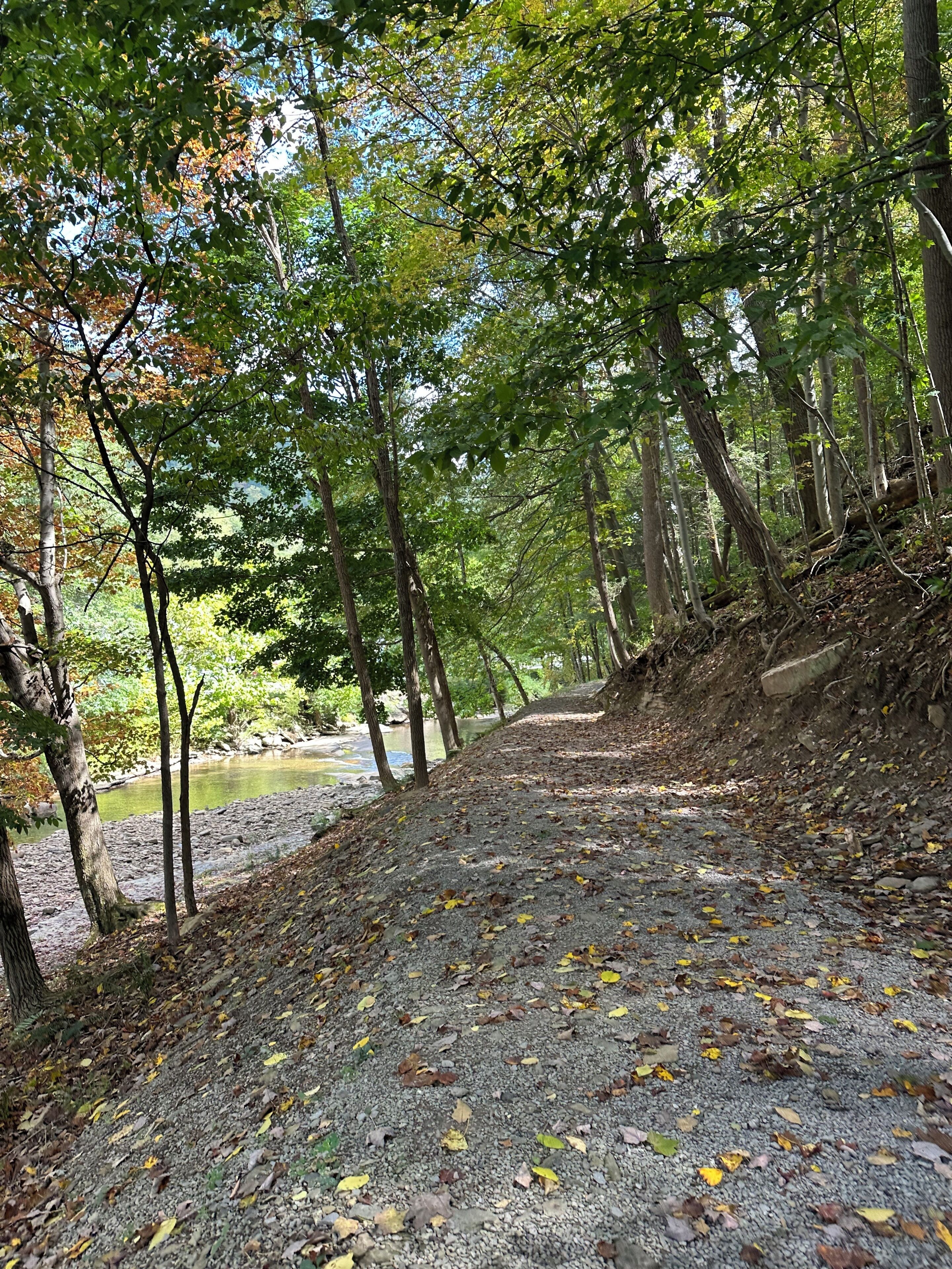 A gravel path in a forested area with trees and a river.