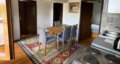 A Peaceful and Spacious Getaway in Sarajevo