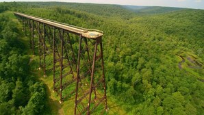 A high bridge over a dense forest. - BRAND NEW, SPACIOUS, FUN - The Wolves Den on Fraley (Kane)