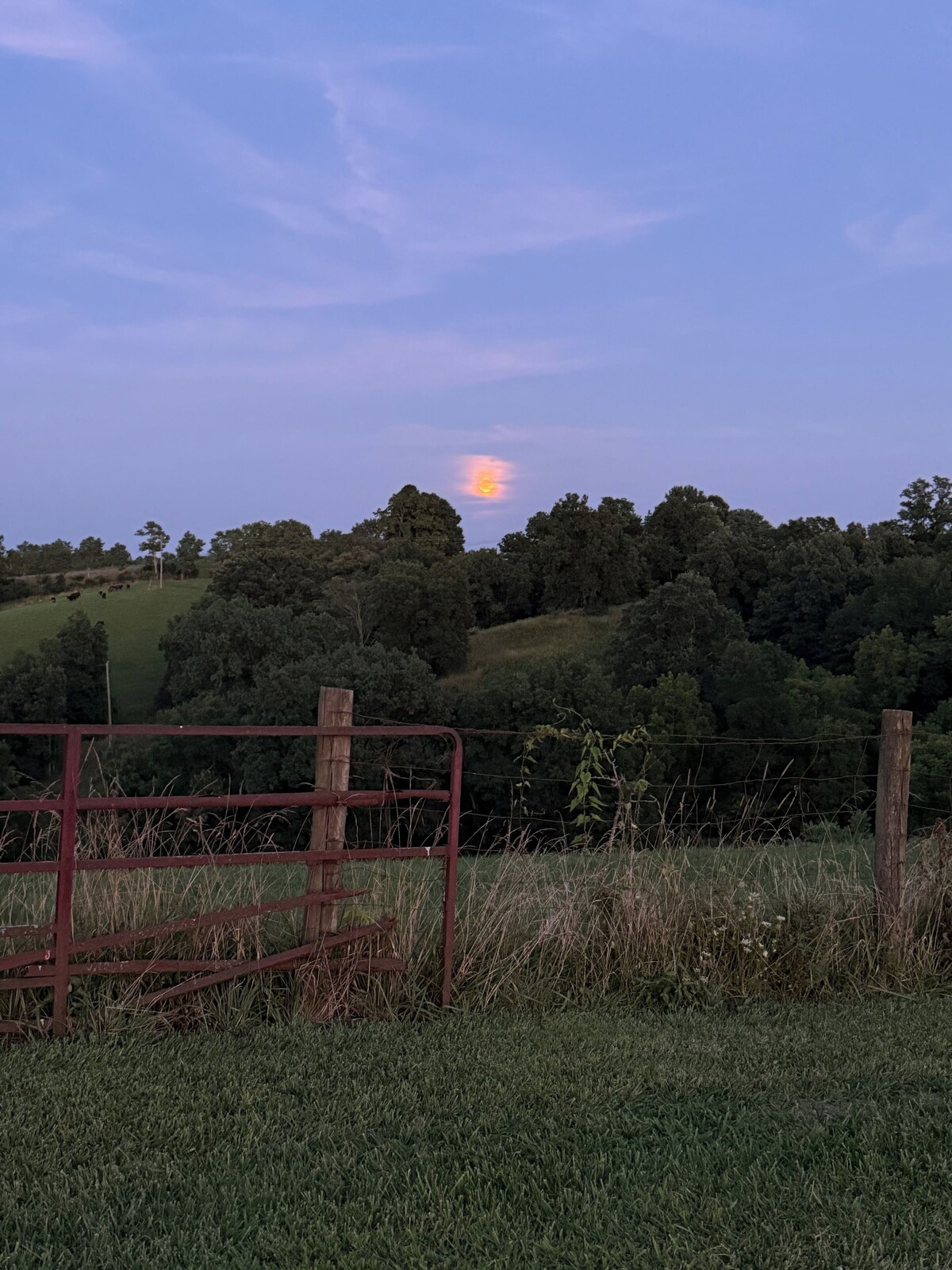 Imagen de perfil del propietario o de la propietaria