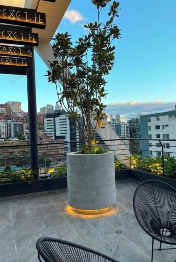 A balcony with a potted plant, a chair, and a city view.