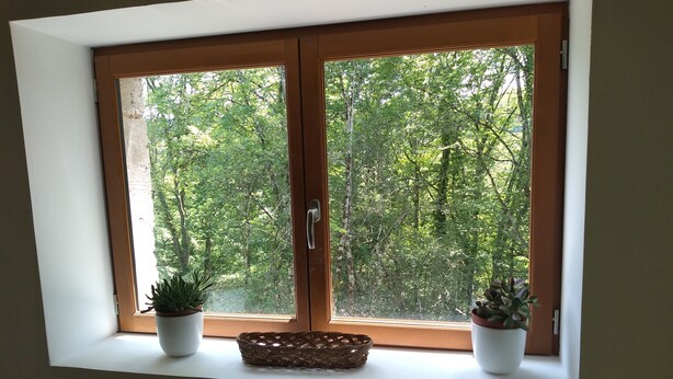 A room with a large window overlooking a dense forest. There are two potted plants on the windowsill. - Large, renovated country house. Children and pets welcome! (Chaumard)
