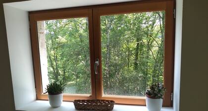 Large, renovated country house. Children and pets welcome!