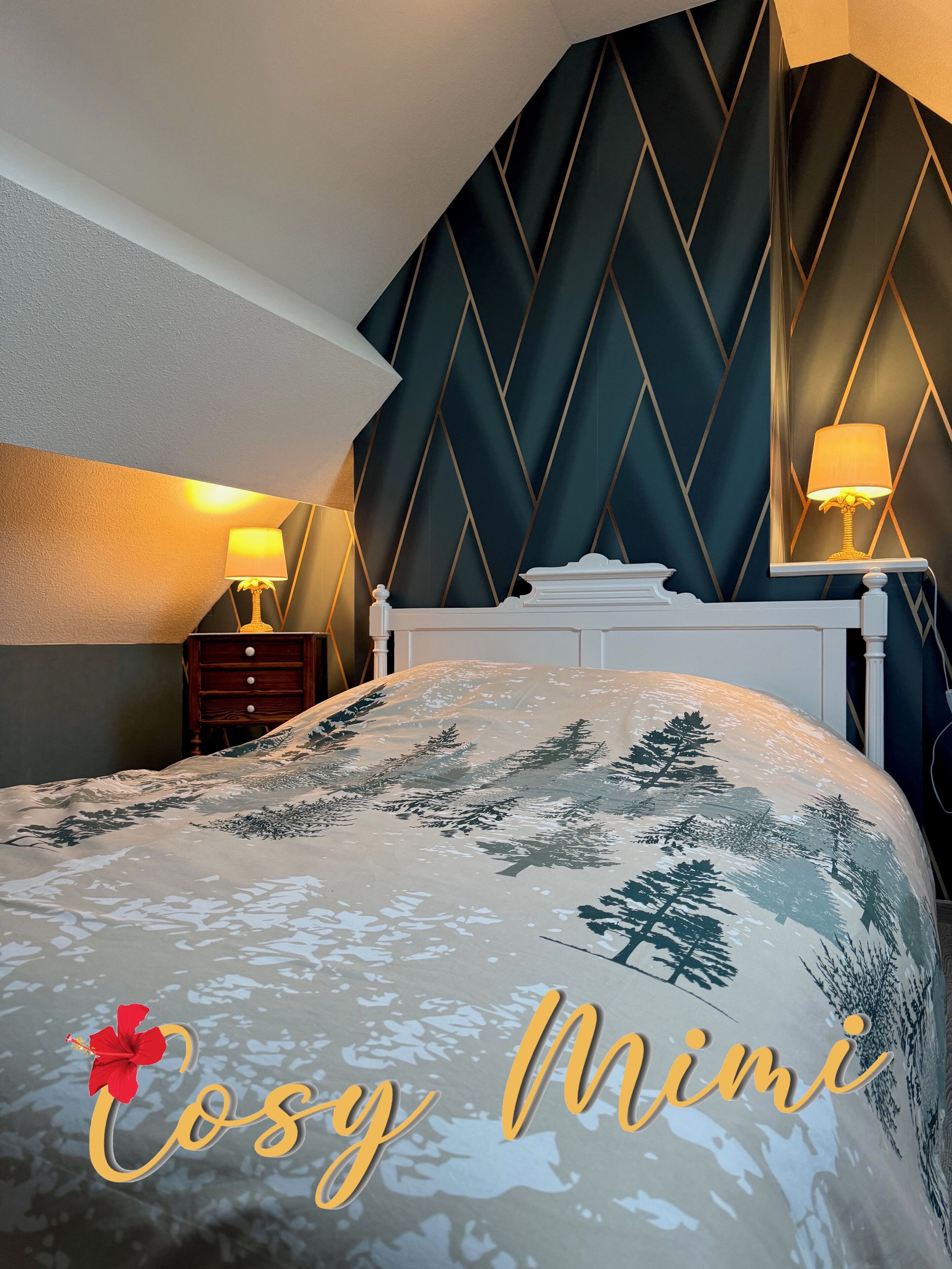 2 soverom, strykejern/-brett, internettilgang og sengetøy