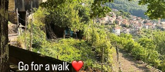 Cozy apartment with lovely location - tranquil getaway or active holiday