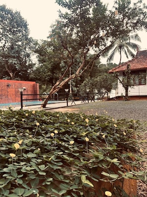 Property grounds - "Shas Villa Your Private Escape in Paradise (Padinjarathara)