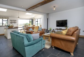 TV connectée, cheminée, lecteur de DVD, chaîne hi-fi