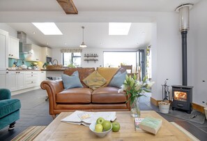 TV connectée, cheminée, lecteur de DVD, chaîne hi-fi