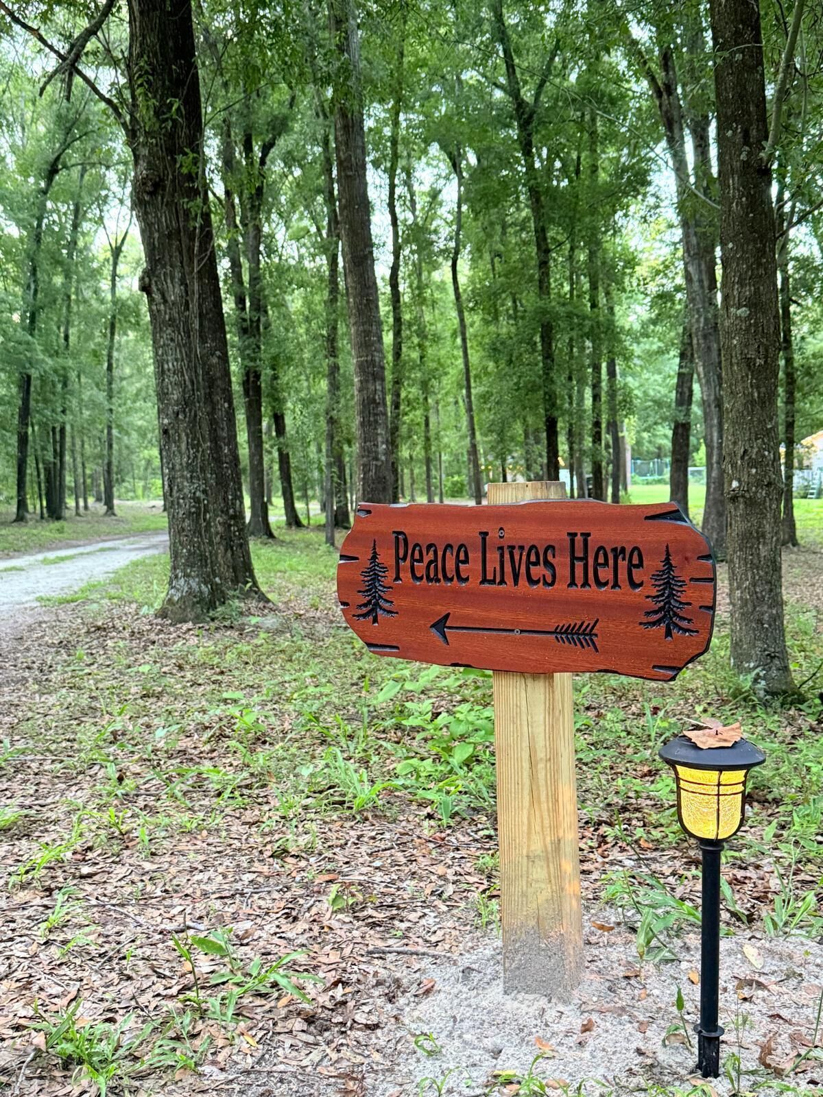 Un panneau en bois portant l’inscription « La paix règne ici » et des flèches indiquant la direction, le tout entouré d’arbres et bordé d’un sentier.