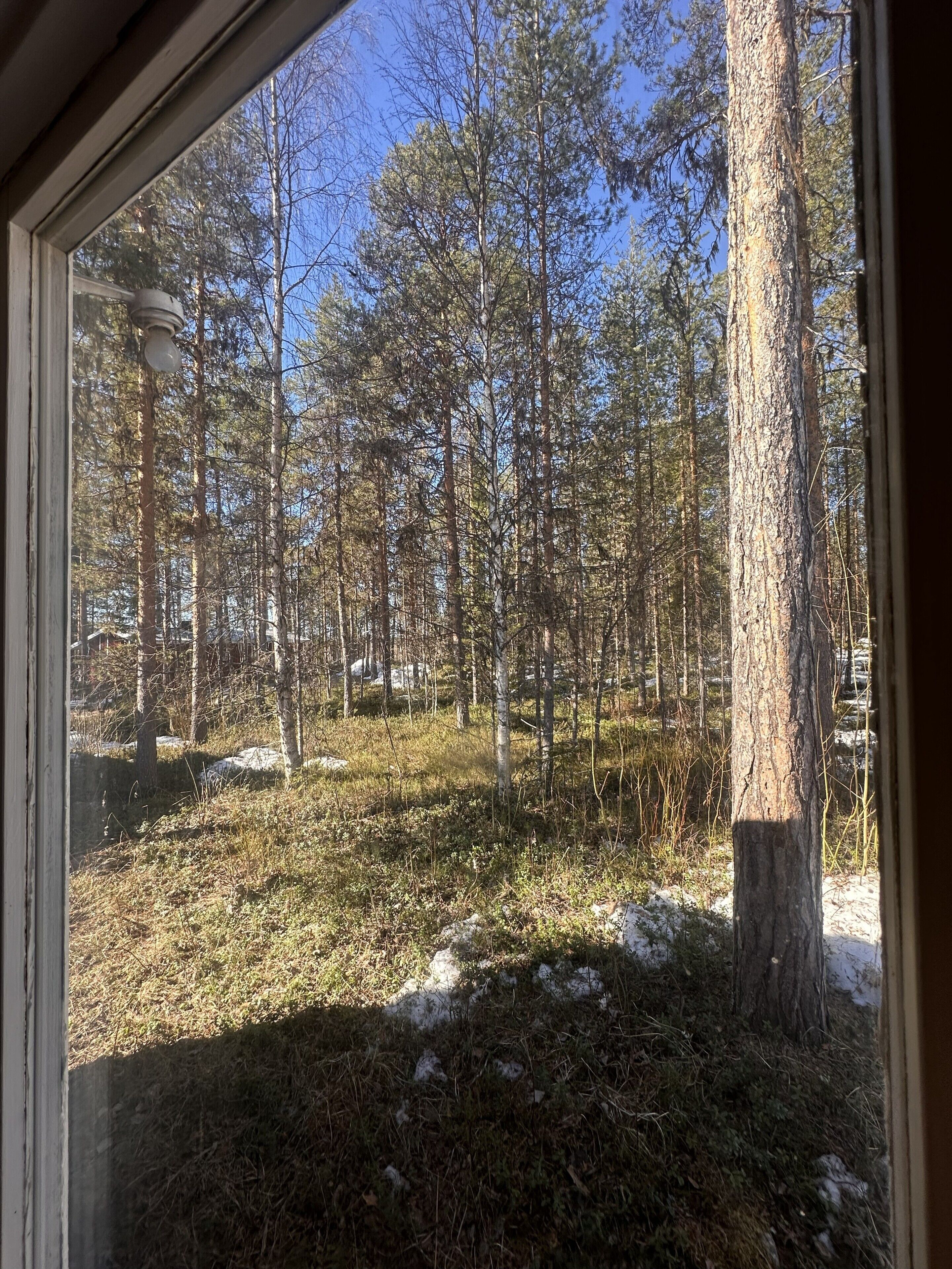 House, 3 Bedrooms | View from room