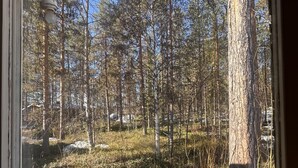 A window view of a forested area with tall trees and a clear sky. - Skabram Camping & Stugby (Jokkmokk)