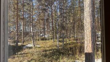 House, 3 Bedrooms | View from room