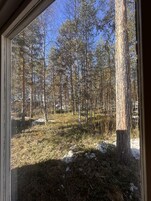 Vista desde la habitación