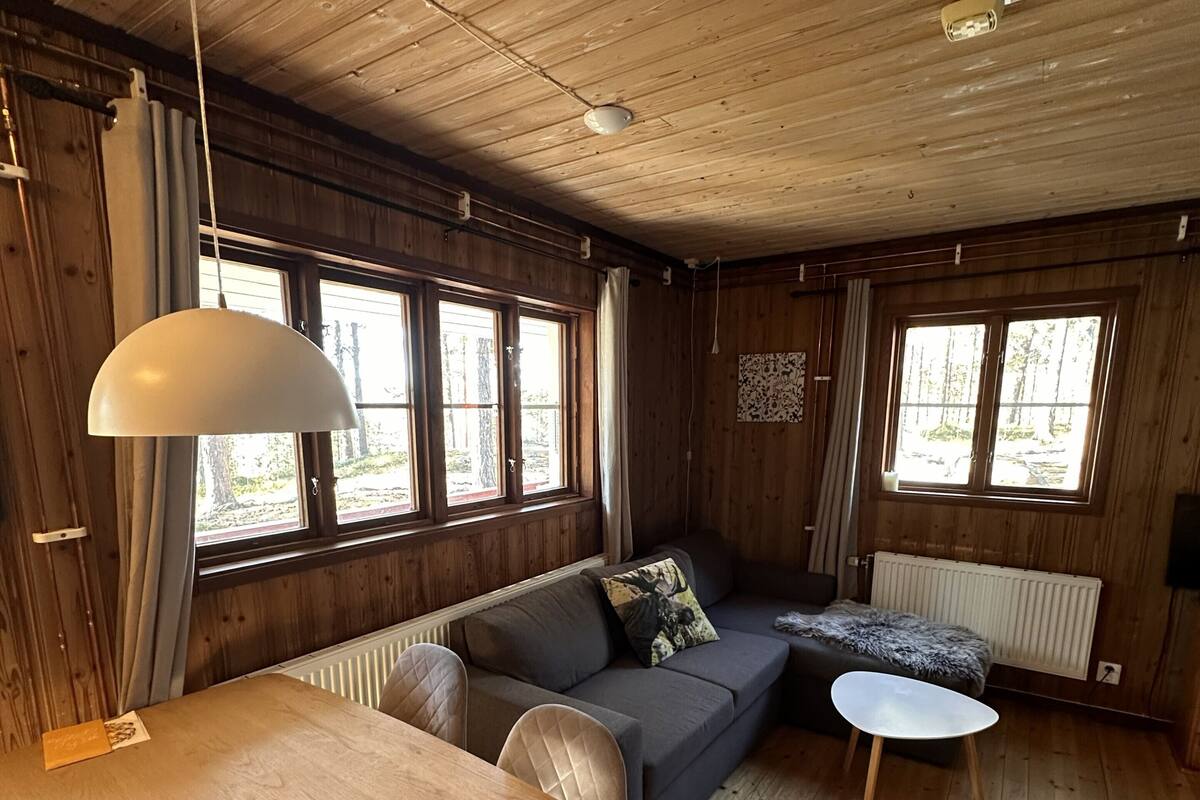Ein Holzinterieur mit einer Couch, einem Tisch und einer Pendelleuchte.