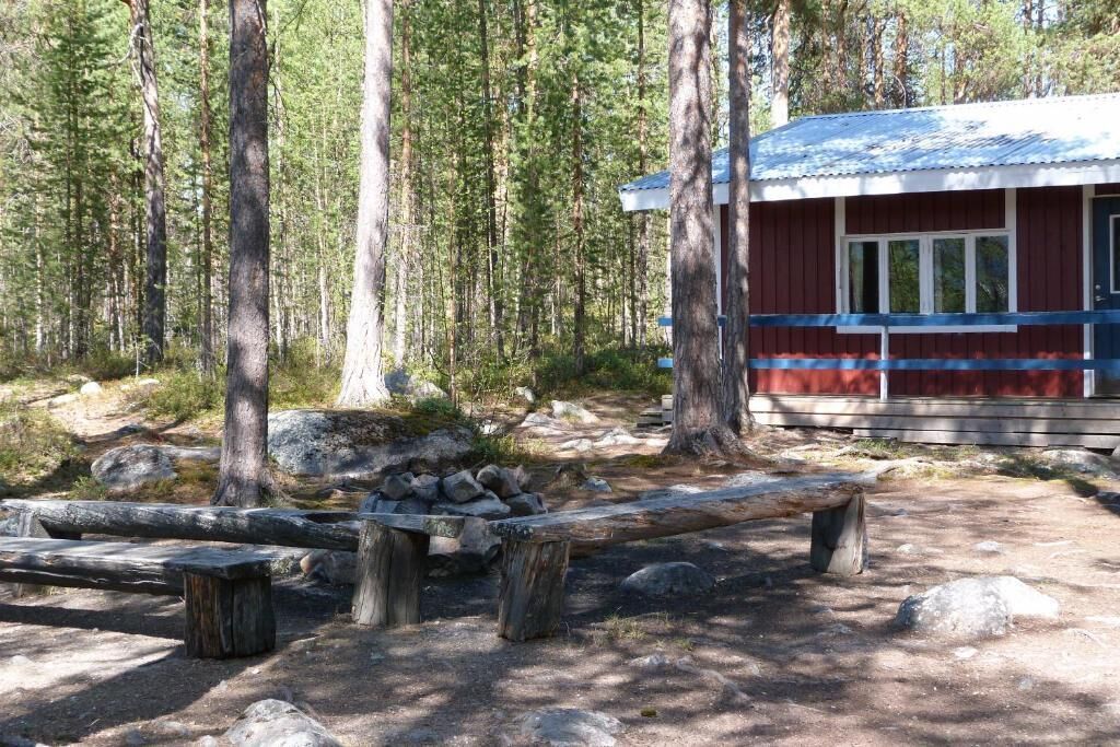 A cabin with a red and blue exterior, surrounded by a forest with tall trees and a dirt ground.
