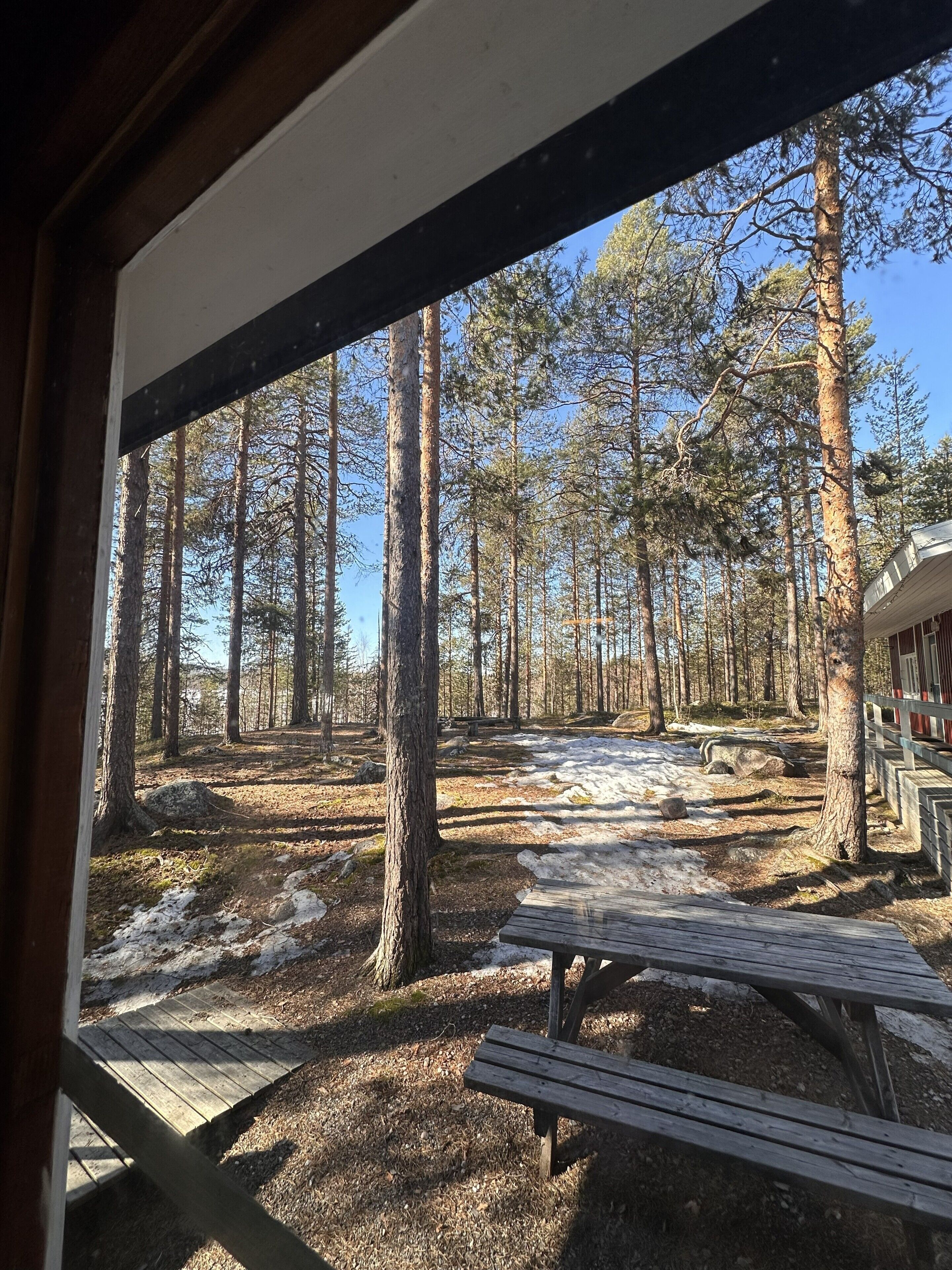 Utsikt fra rommet