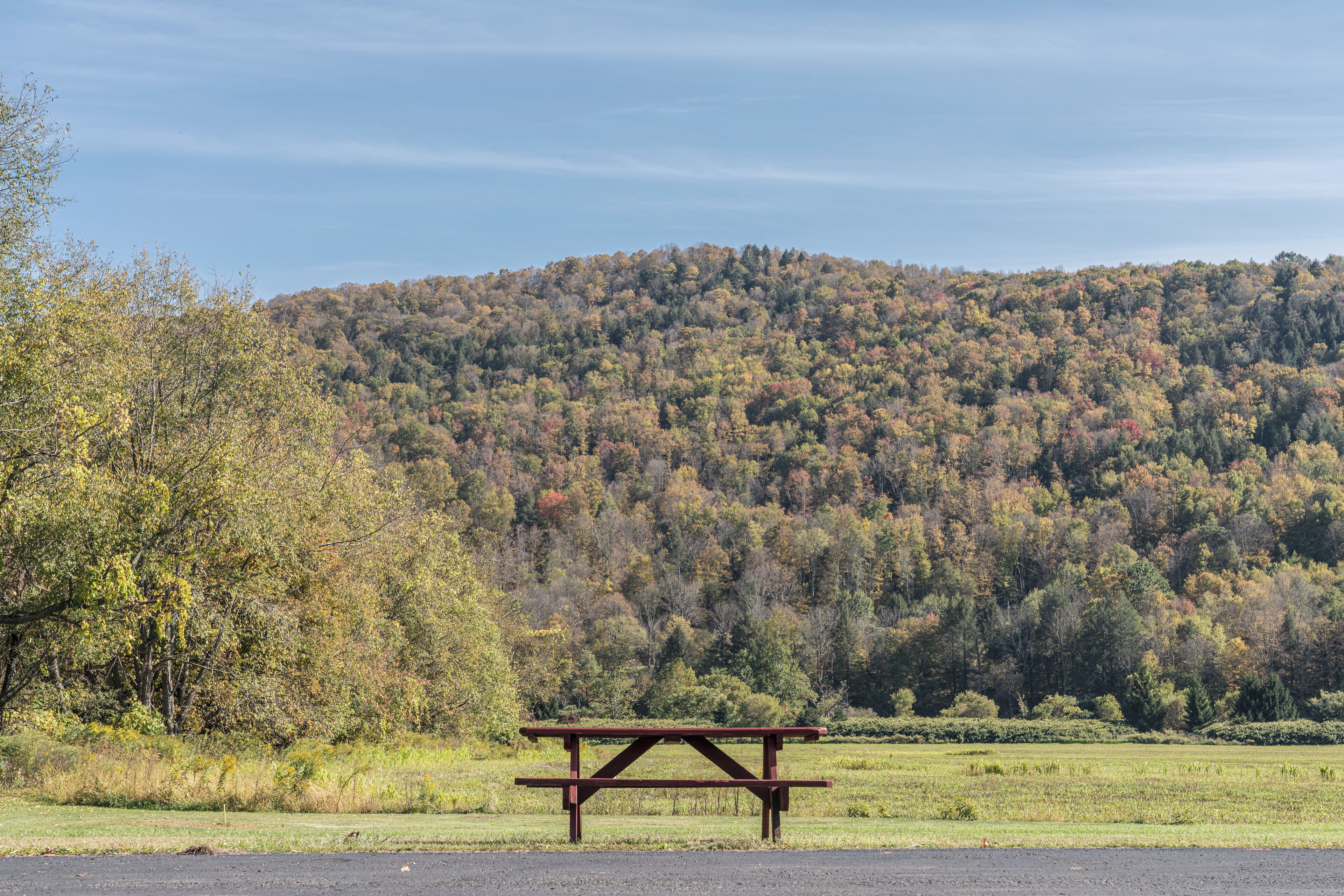 Una mesa de picnic en un campo, con una colina boscosa al fondo.