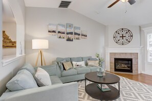 TV connectée, cheminée, lecteur de DVD, livres