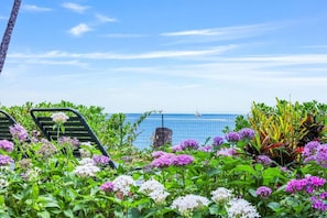 A garden with a view of the sea, a chair, and a fence.