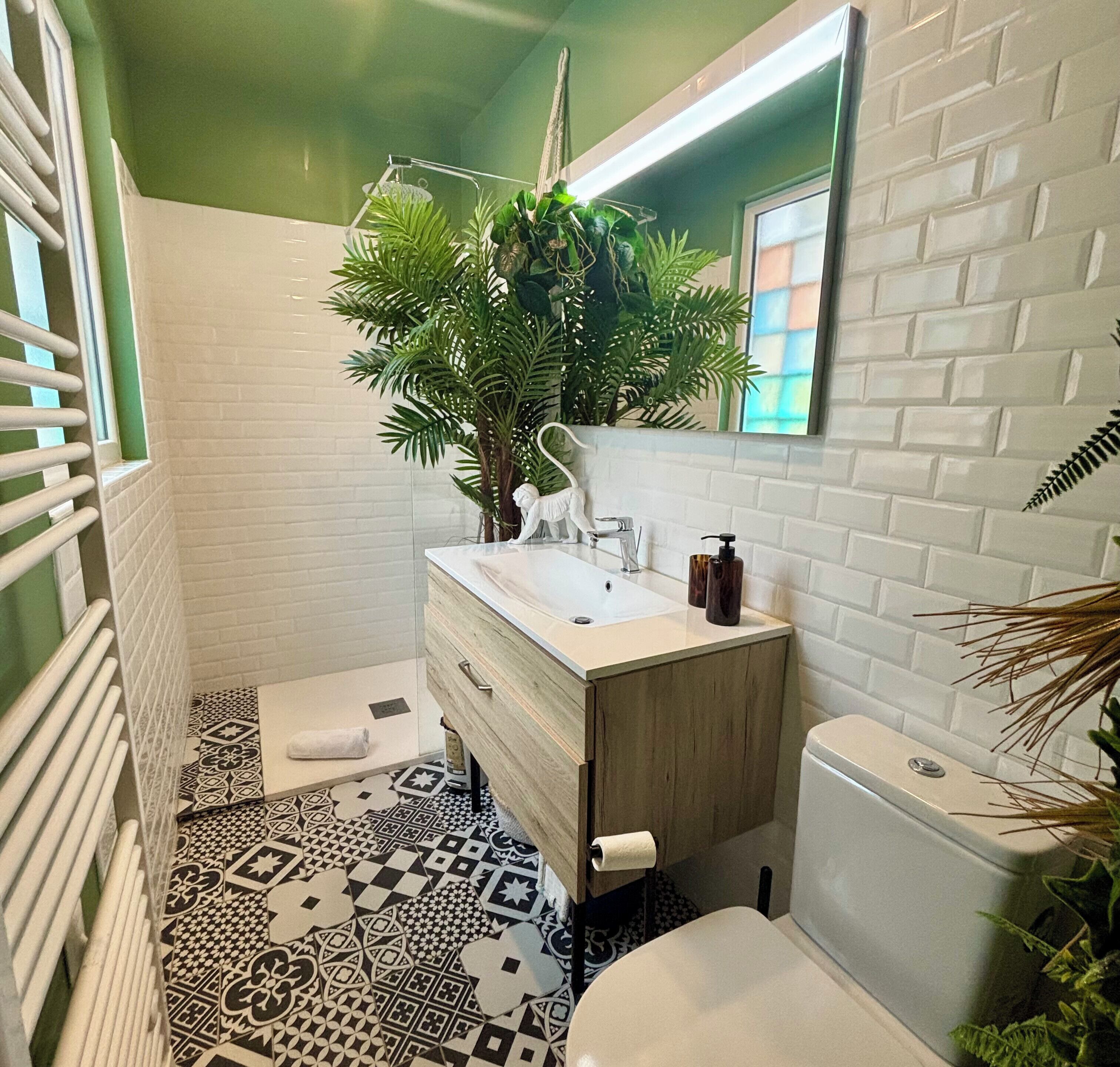 Ducha, secador de pelo, toallas