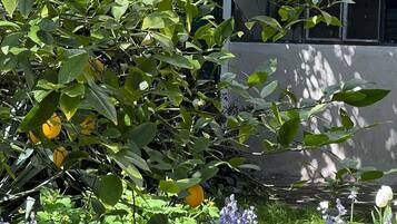 DĂ©tail de lâextĂ©rieur