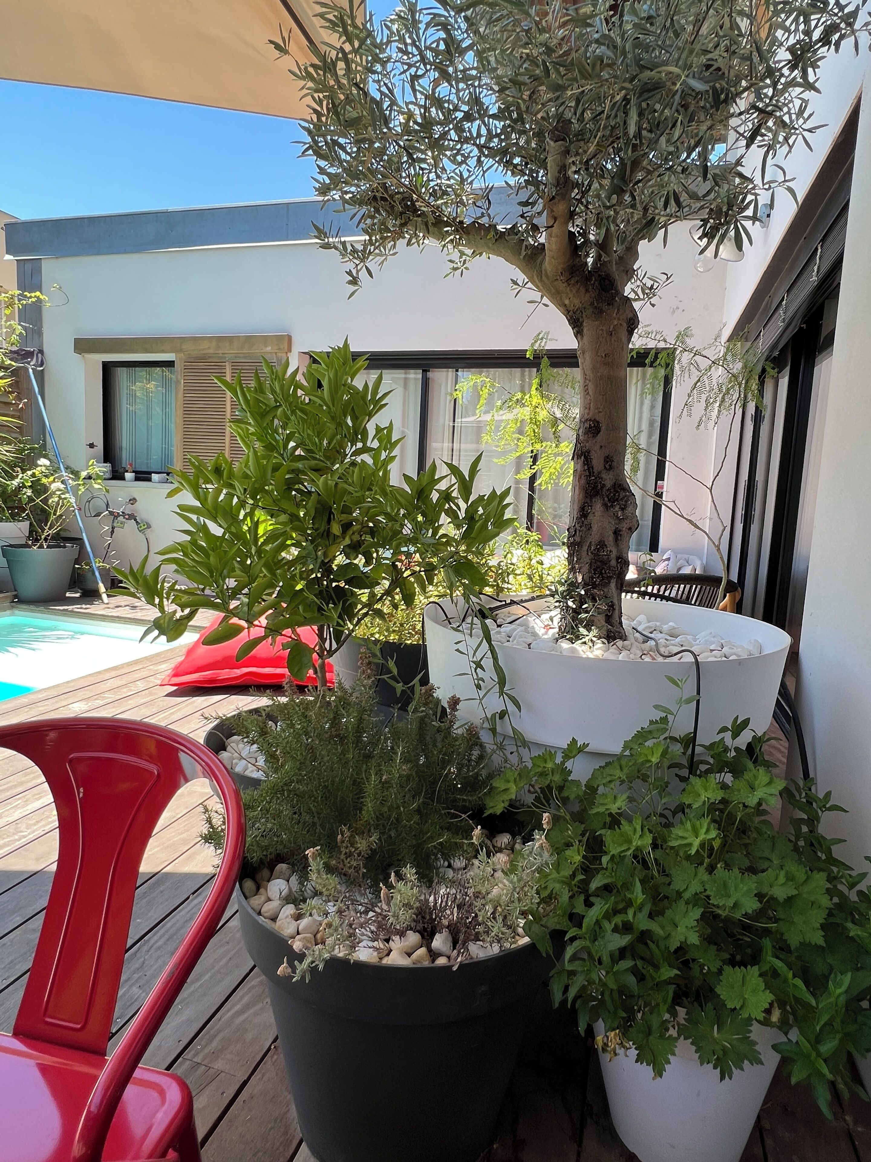 Terrasse/Patio