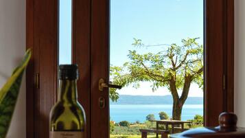 Apartment, Lake View | Living area