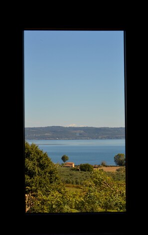 Land view from property - Podere Fausto -Agriturismo La Fraschetta (Gradoli)