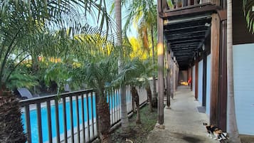 2 outdoor pools