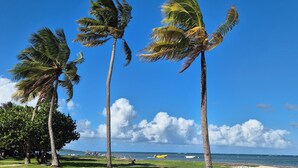Une plage bordée de palmiers, sous un ciel bleu et dégagé.