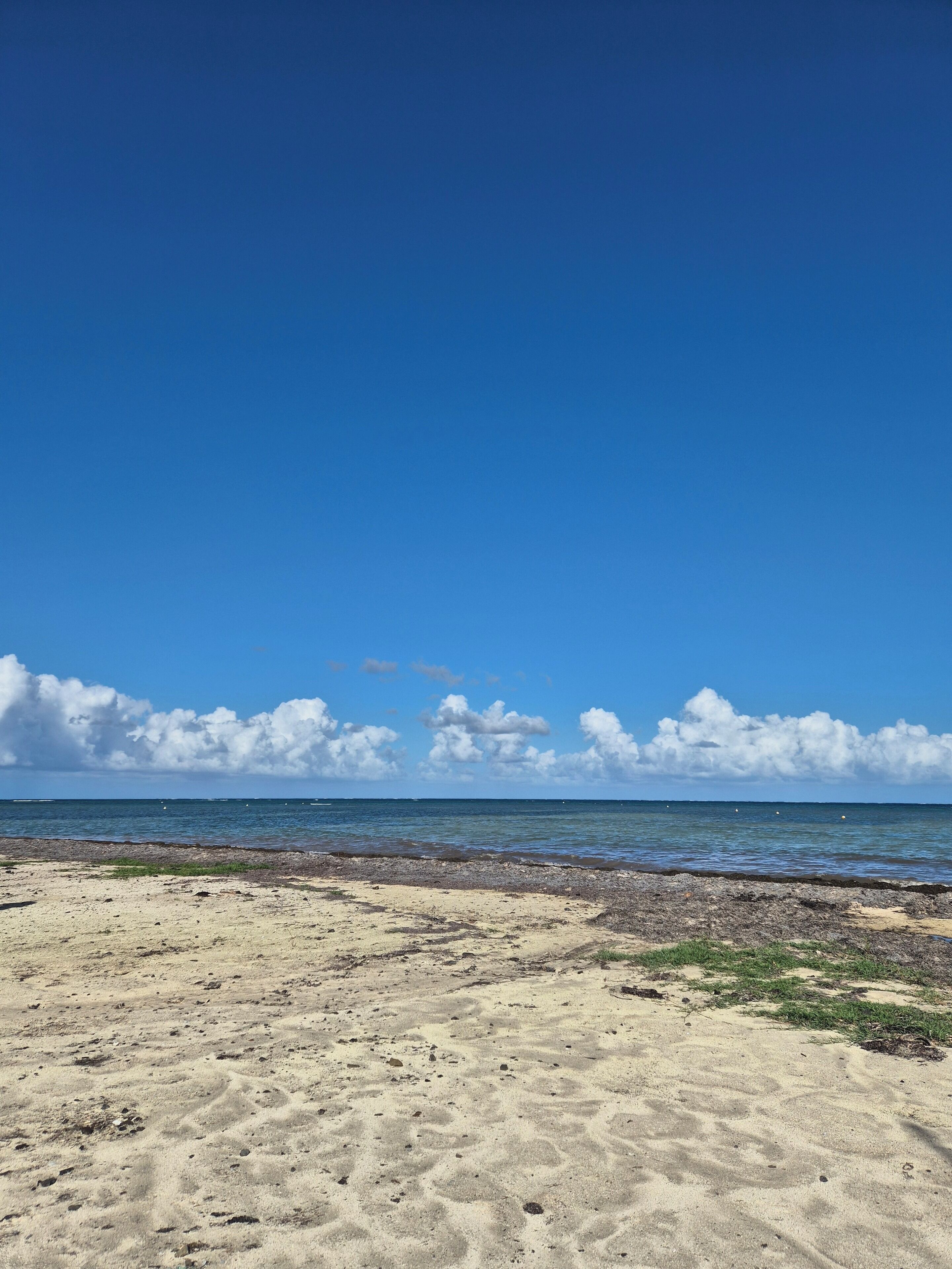 A beach with a clear sky and calm sea.