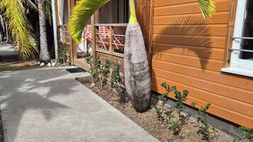 A concrete pathway leading to a wooden building with a large potted plant.