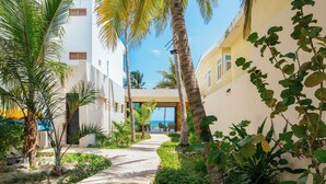 Un camino bordeado de palmeras y vegetación, que lleva a un edificio con vistas al mar.