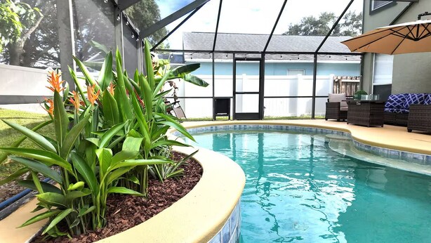 Une piscine dotée d’un patio couvert, entourée de plantes et d’une clôture blanche.