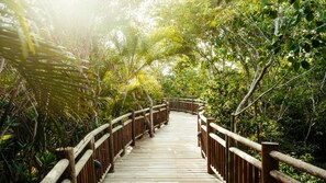 المنطقة المحيطة بالمنشأة