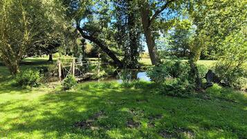 Ărea da propriedade