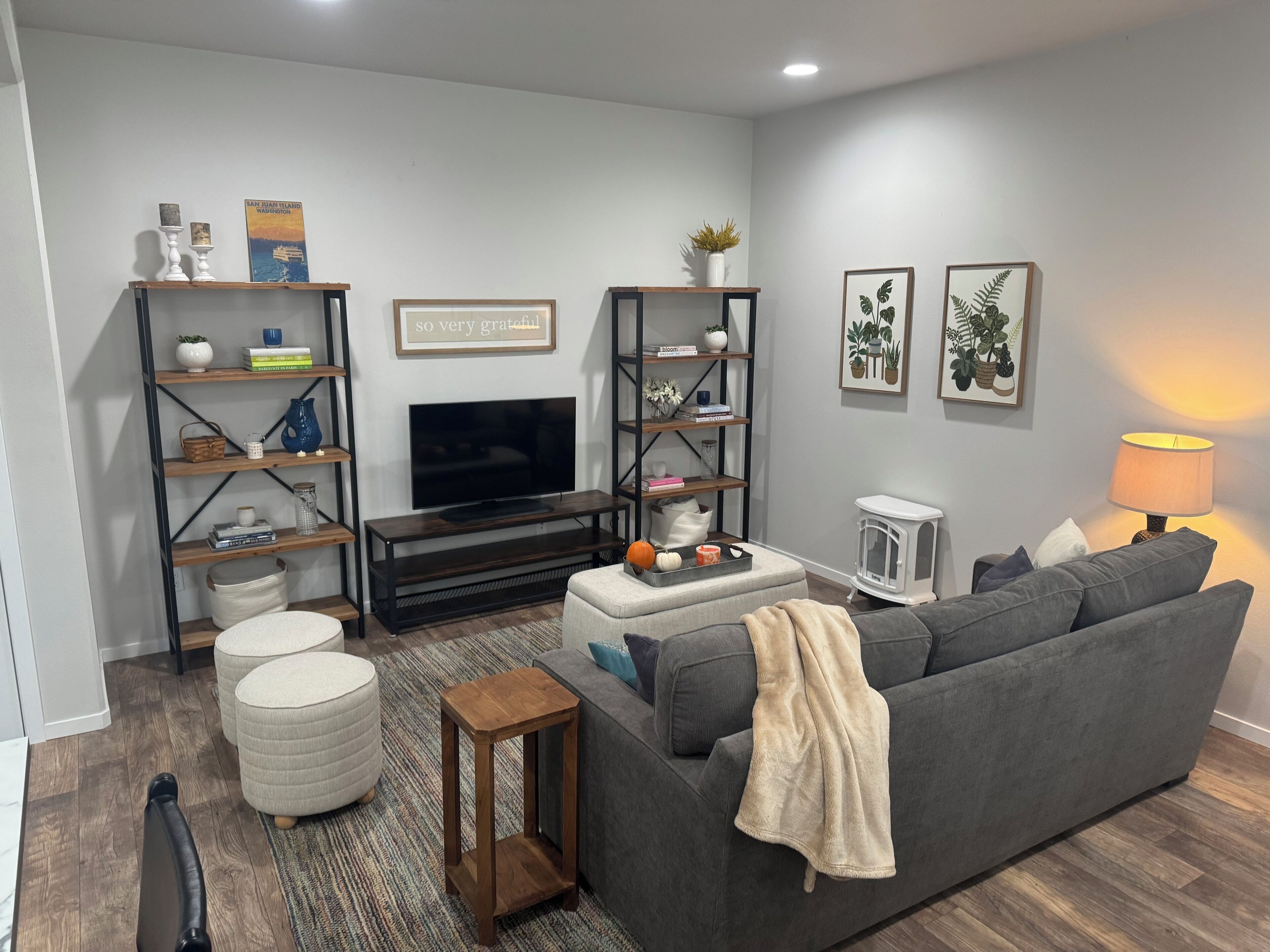 Smart TV, books, computer monitors