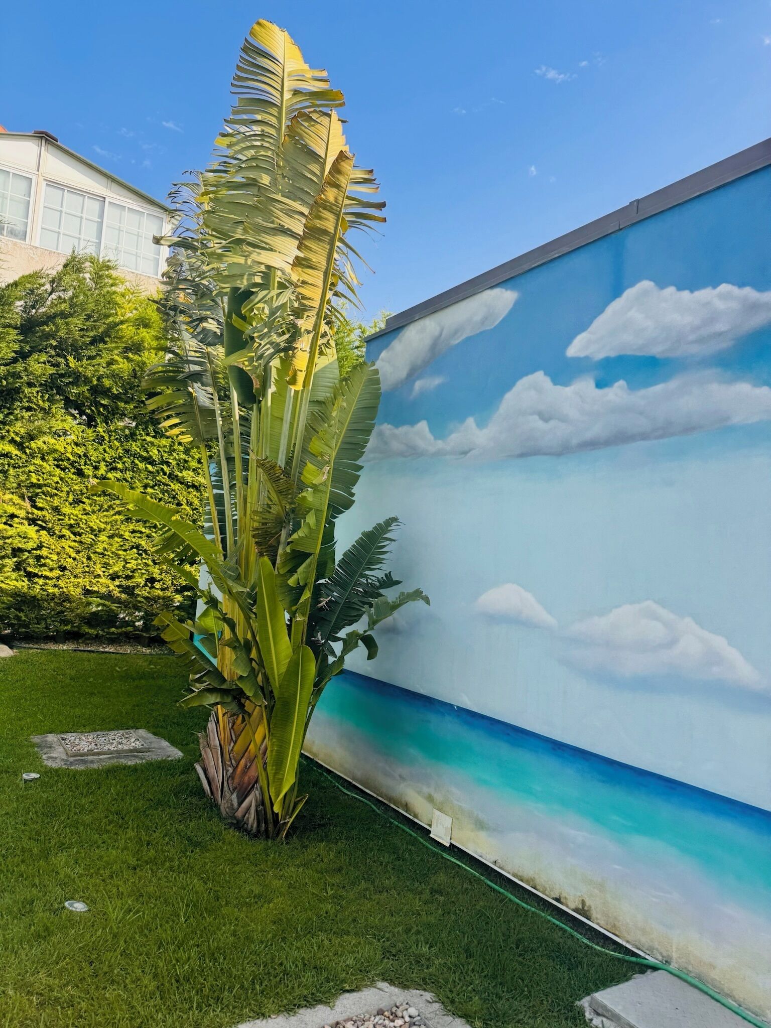 المنطقة المحيطة بالمنشأة