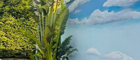 Terrein van de accommodatie